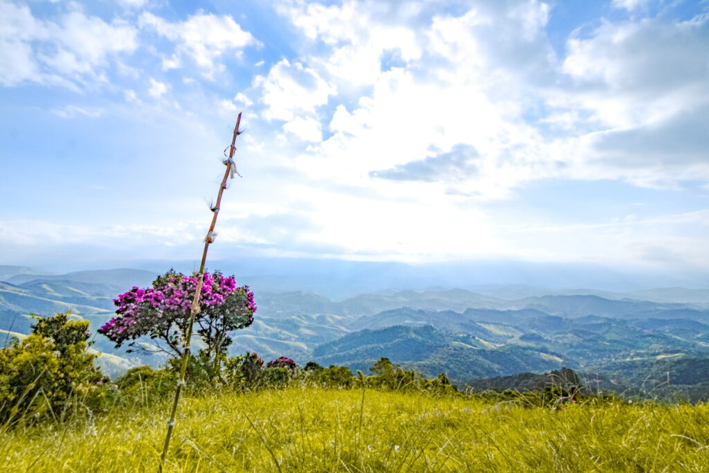 Santo Antônio do Pinhal tem mirantes naturais para os belos vales e montanhas da Serra da Mantiqueira