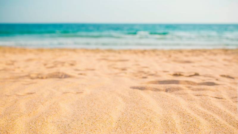 o que fazer na praia do pequea em ilhabela