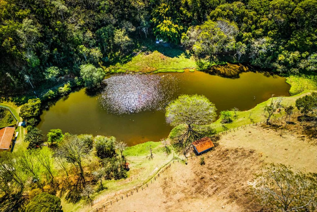 Velinn Hotel Estrela da Serra tem experiência de hotel fazenda em Santo Antônio do Pinhal