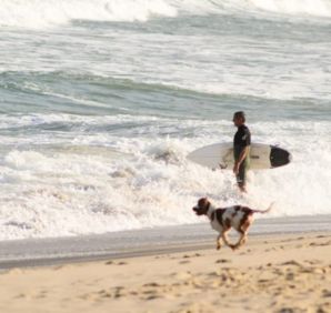 Calendário de Surf em Ubatuba: quando ir e onde se hospedar na capital do surfe