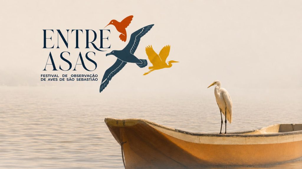 Entre Asas – Festival de Observação de Aves de São Sebastião