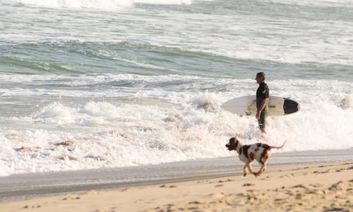Destinos - Velinn Rede de Hoteis e Pousadas - Praia de Itamambuca em Ubatuba - Calendário de surf 2026