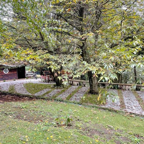 Velinn-Pousada-Canto-da-Cascata-Monte-Verde-Propriedade-Internas-6