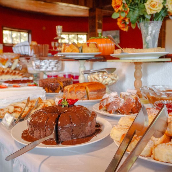 Velinn_ Recanto_das_Hortências_CafeDaManha-34