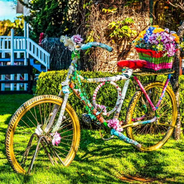 Hotéis e Pousadas Velinn em Campos do Jordão