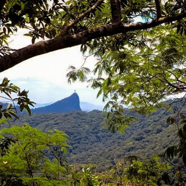 Velinn_Destino_Paraty_Rio_de_Janeiro_Trilha_da_Pedra_Bonita-4