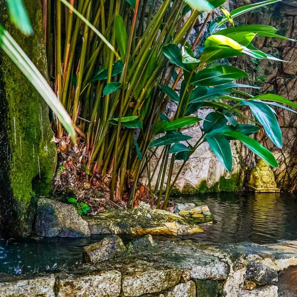 Velinn_Feiticeira_Praia_Hotel_Ilhabela_Propriedade-8