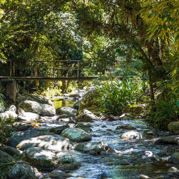Velinn_Pousada_Bromelias_Ilhabela_Propriedade_Externas-118