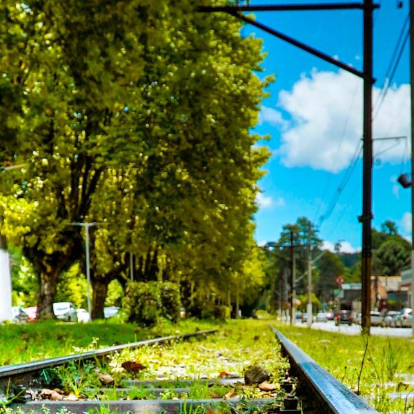 Velinn_Pousada_Chateau_do_Luar-Campos_do_Jordao-Propriedade-2