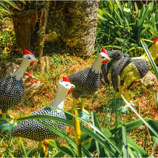 Velinn_Pousada_Dom_Sossego_Monte_Verde_Propriedade_Externas_Detalhes-17