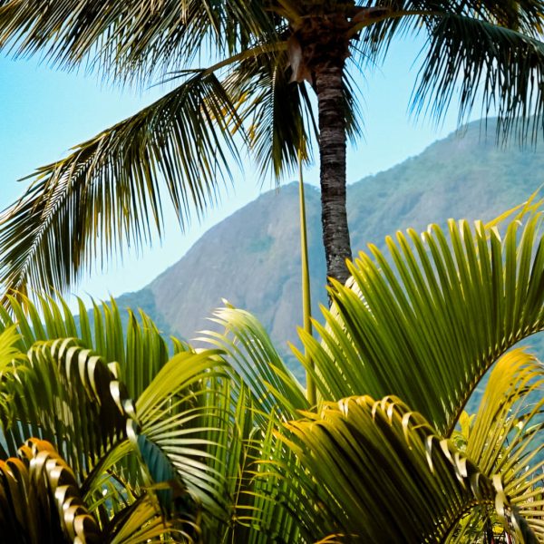 Velinn_Pousada_Ponta_do_Pequeah_Ilhabela_Propriedade-40