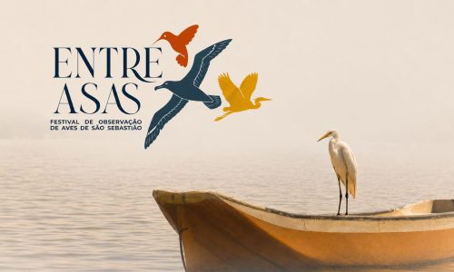 Entre Asas – Festival de Observação de Aves de São Sebastião
